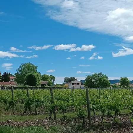 A Guest house Vacquieres (Herault)