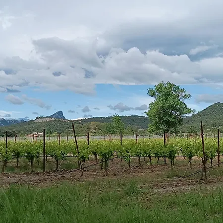 à Maison d'hôtes *